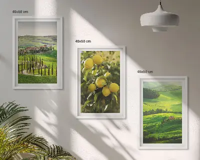 Fotowand met Italiaanse citrusvruchten en heuvels