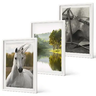 Fotowand Witte paarden rivier natuur