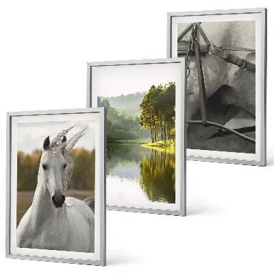 Fotowand natuurlandschap met witte paarden bij de rivier