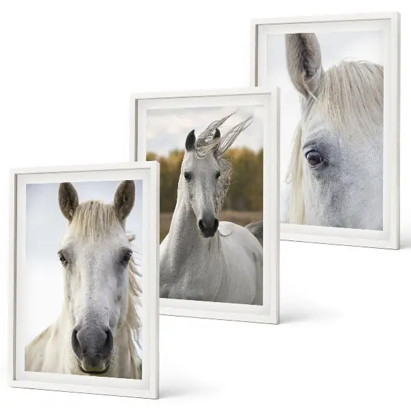 Wanddecoratie set schilderijen Witte paarden in de natuur