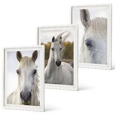Wanddecoratie set schilderijen Witte paarden in de natuur