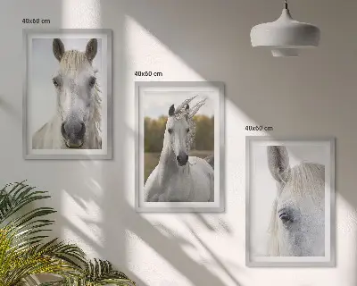 Wanddecoratie set schilderijen Witte paarden in de natuur