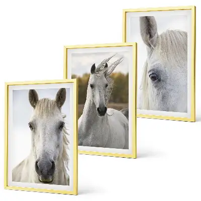 Wanddecoratie set schilderijen Witte paarden in de natuur