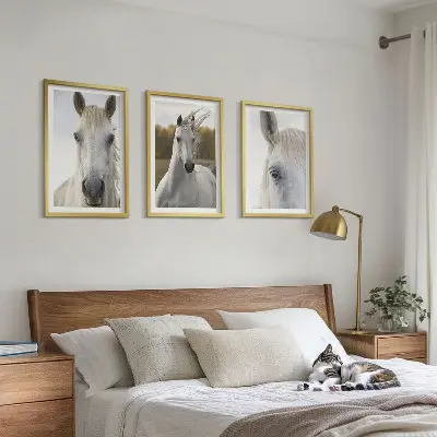 Wanddecoratie set schilderijen Witte paarden in de natuur
