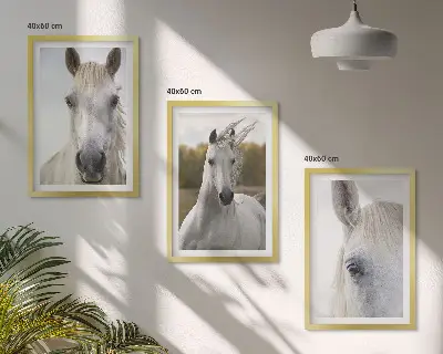 Wanddecoratie set schilderijen Witte paarden in de natuur