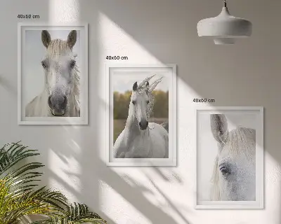Wanddecoratie set schilderijen Witte paarden in de natuur