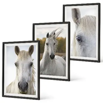 Wanddecoratie set schilderijen Witte paarden in de natuur