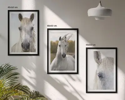 Wanddecoratie set schilderijen Witte paarden in de natuur