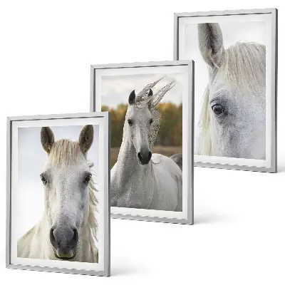 Wanddecoratie set schilderijen Witte paarden in de natuur