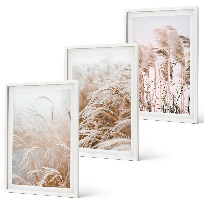 Fotowand Grasvelden in bruine en beige tinten.