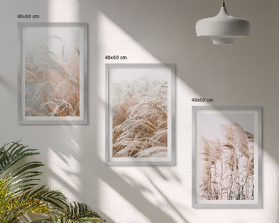 Fotowand Grasvelden in bruine en beige tinten.