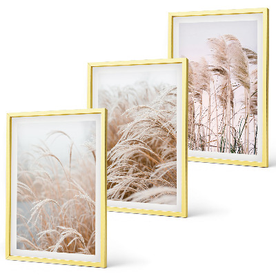 Fotowand Grasvelden in bruine en beige tinten.