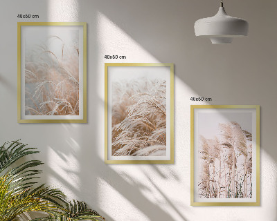 Fotowand Grasvelden in bruine en beige tinten.