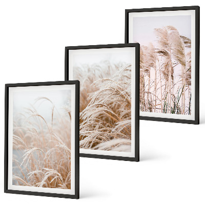 Fotowand Grasvelden in bruine en beige tinten.