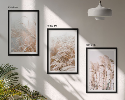 Fotowand Grasvelden in bruine en beige tinten.