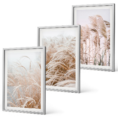 Fotowand Grasvelden in bruine en beige tinten.