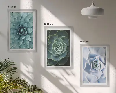Fotowand met afbeelding van groene en turkooiskleurige succulenten