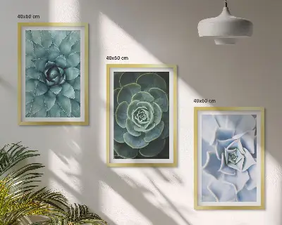 Fotowand met afbeelding van groene en turkooiskleurige succulenten