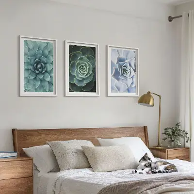 Fotowand met afbeelding van groene en turkooiskleurige succulenten