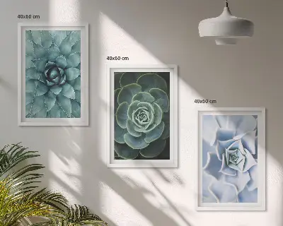 Fotowand met afbeelding van groene en turkooiskleurige succulenten