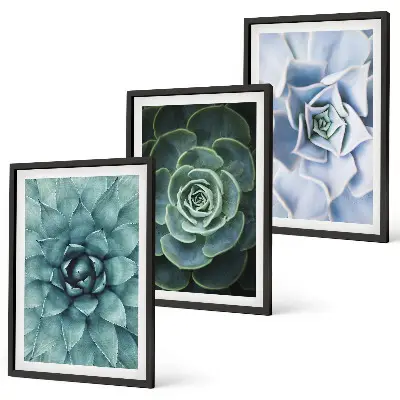 Fotowand met afbeelding van groene en turkooiskleurige succulenten