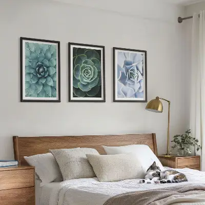 Fotowand met afbeelding van groene en turkooiskleurige succulenten