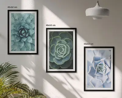 Fotowand met afbeelding van groene en turkooiskleurige succulenten