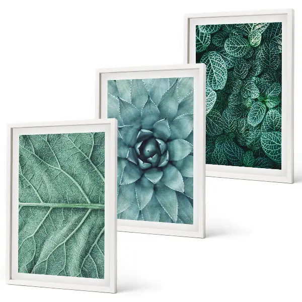 Wanddecoratieset schilderijen met botanische planten en bladeren