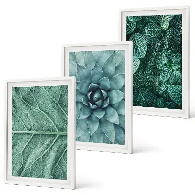 Wanddecoratieset schilderijen met botanische planten en bladeren