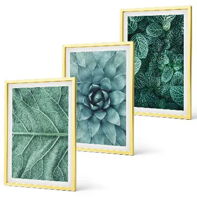 Wanddecoratieset schilderijen met botanische planten en bladeren