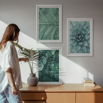 Wanddecoratie set schilderijen Zbliżenia rośliny liście