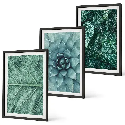 Wanddecoratieset schilderijen met botanische planten en bladeren