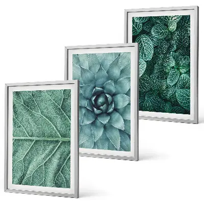 Wanddecoratieset schilderijen met botanische planten en bladeren