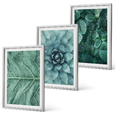 Wanddecoratie set schilderijen Zbliżenia rośliny liście