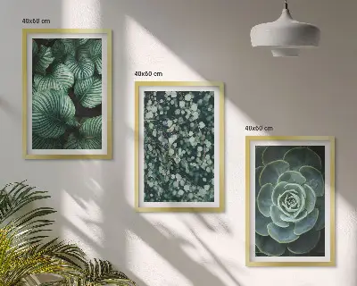 Fotowand met motief van groene vetplanten
