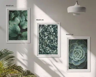 Fotowand met motief van groene vetplanten