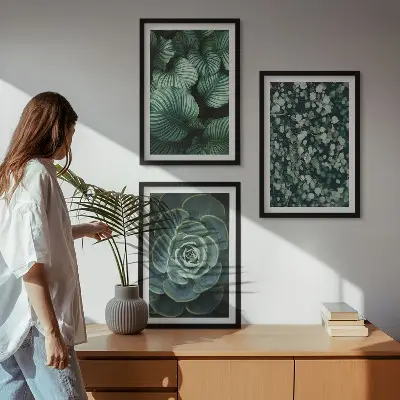 Fotowand met motief van groene vetplanten