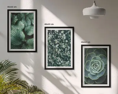 Fotowand met motief van groene vetplanten