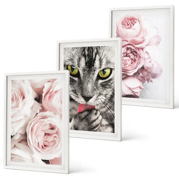 Wanddecoratieset schilderijen kat tussen de roze bloemen