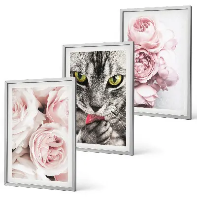 Wanddecoratieset schilderijen kat tussen de roze bloemen