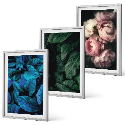 Wanddecoratie set schilderijen Liście kwiaty różne kolory