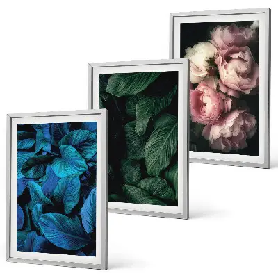 Wanddecoratieset schilderijen met bladeren en bloemen in verschillende kleuren