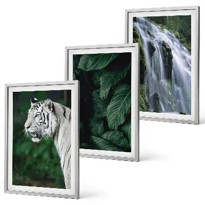 Fotobehang witte tijger tussen bladeren bij een waterval