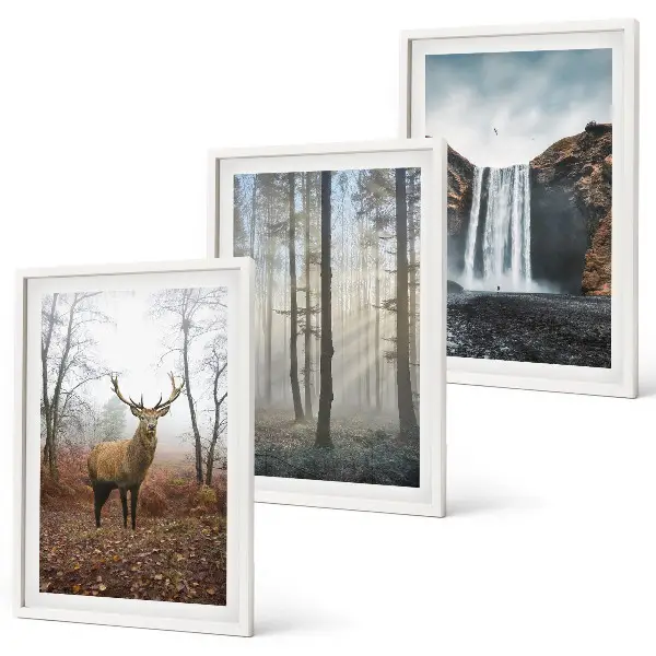 Fotowand met natuurlijke boslandschappen