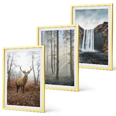 Fotowand met natuurlijke boslandschappen