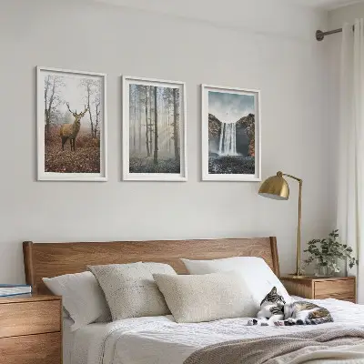 Fotowand met natuurlijke boslandschappen