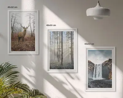 Fotowand met natuurlijke boslandschappen