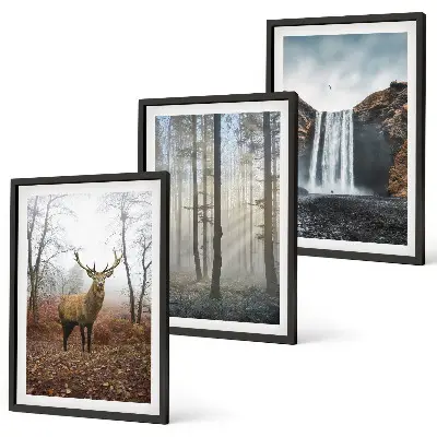 Fotowand met natuurlijke boslandschappen