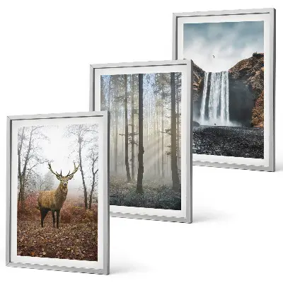 Fotowand met natuurlijke boslandschappen