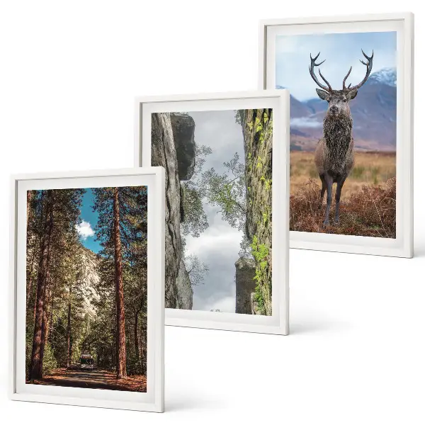 Wanddecoratieset schilderijen met een landschap van bergen en een hert in de natuur